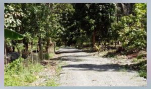 20251228_123746_copy_568x1010